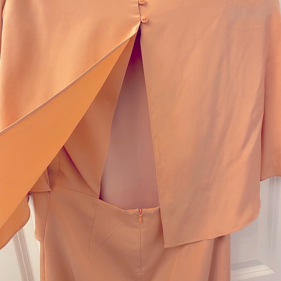 Blush Tibi Silk Cape dress - Picture 6 of 8